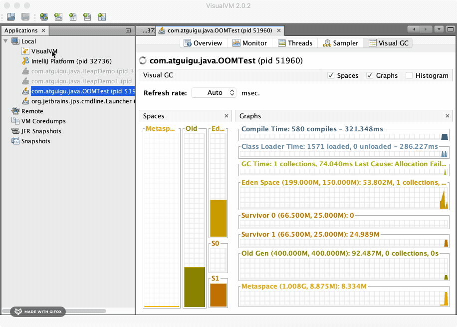 VisualVM - Visual GC