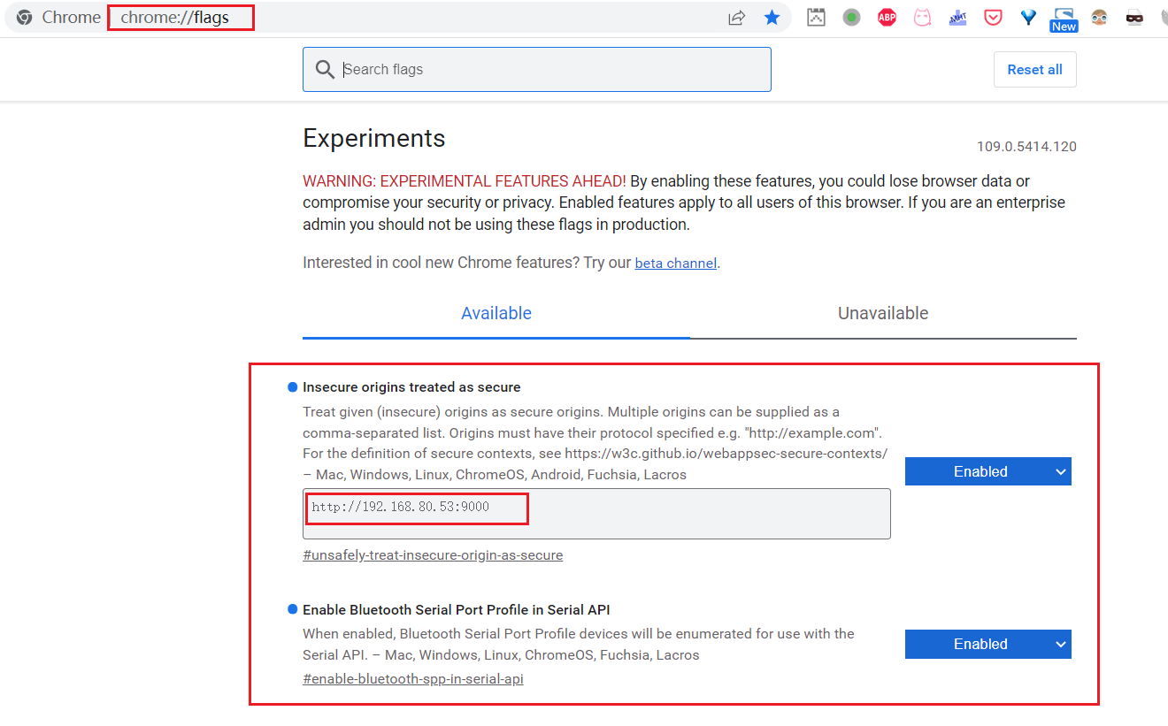 配置chrome://flags/